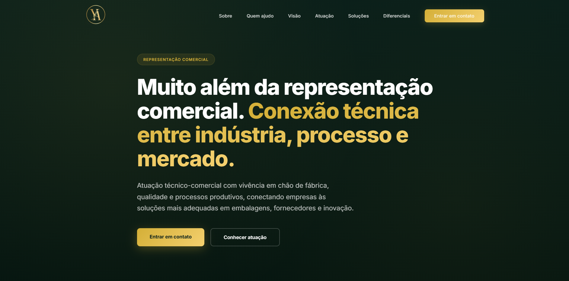 Portfólio Profissional 1