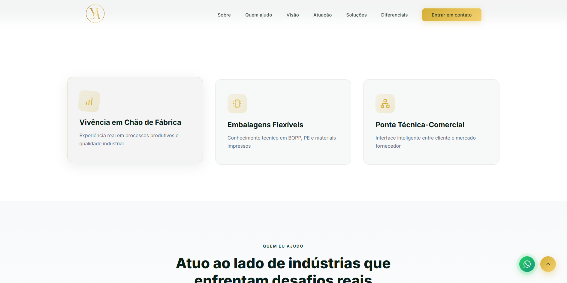 Portfólio Profissional 3