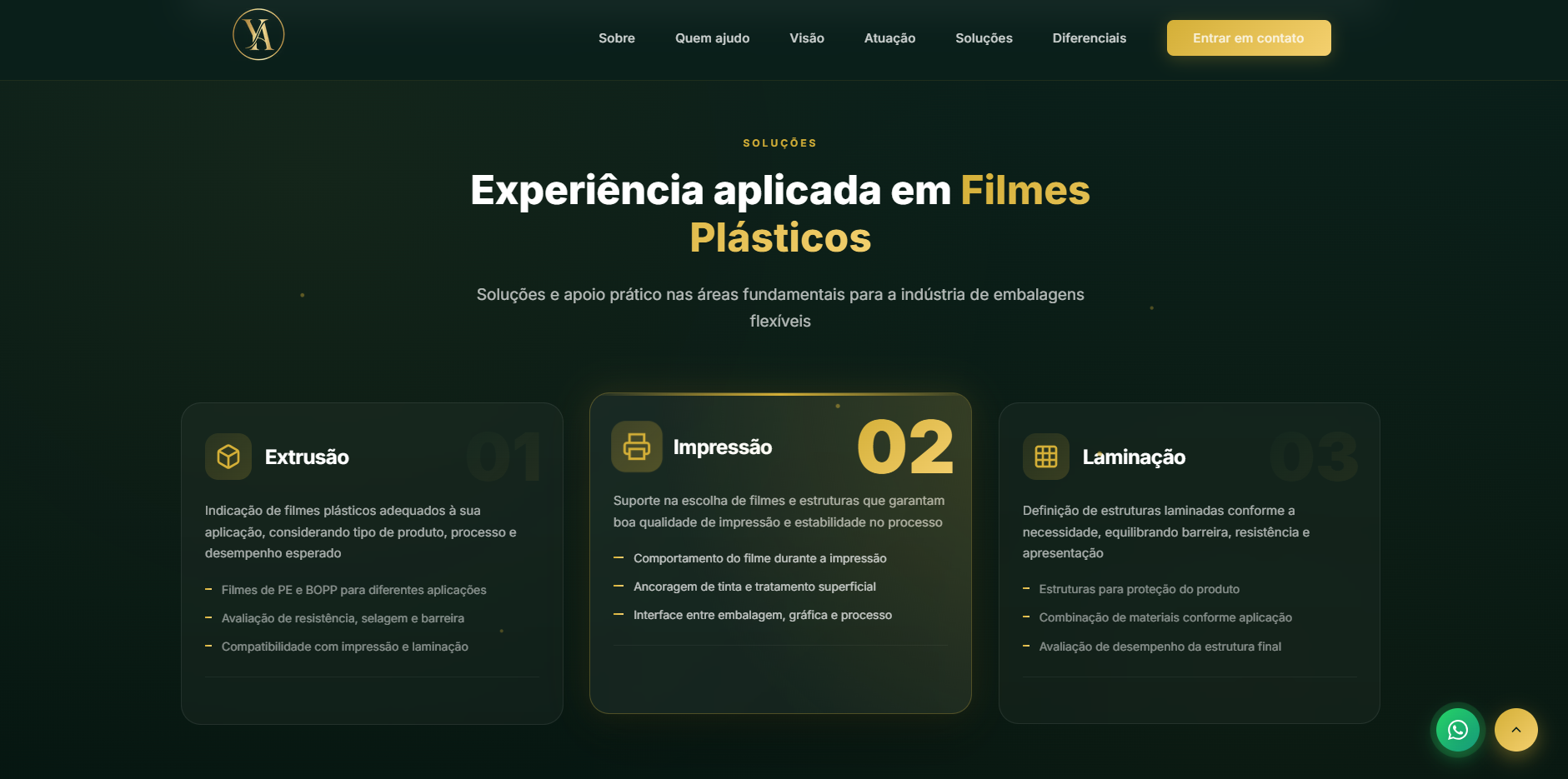 Portfólio Profissional 7